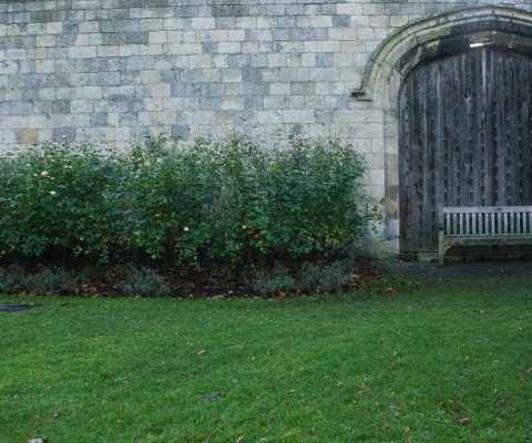 York